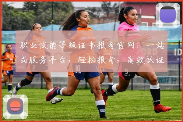 职业技能等级证书报考官网，一站式服务平台，轻松报考，高效认证，三步搞定
