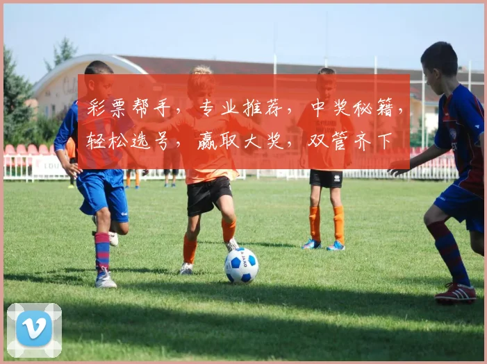彩票帮手，专业推荐，中奖秘籍，轻松选号，赢取大奖，双管齐下