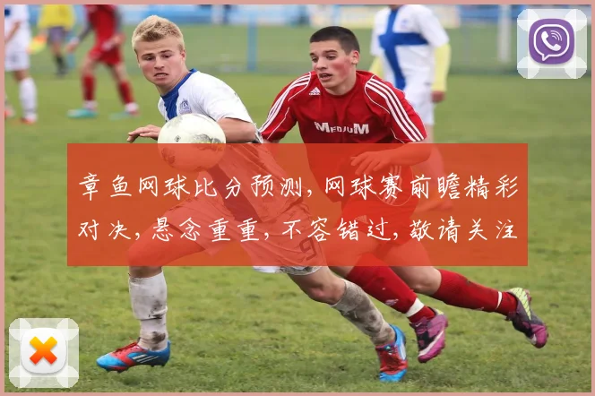 章鱼网球比分预测,网球赛前瞻精彩对决,悬念重重,不容错过,敬请关注