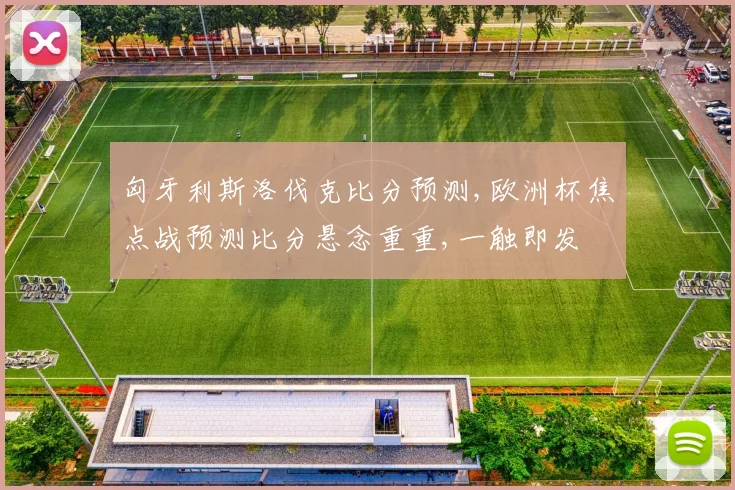 匈牙利斯洛伐克比分预测,欧洲杯焦点战预测比分悬念重重,一触即发