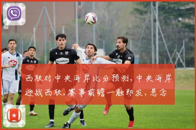 西联对中央海岸比分预测,中央海岸迎战西联,赛事前瞻一触即发,悬念重重