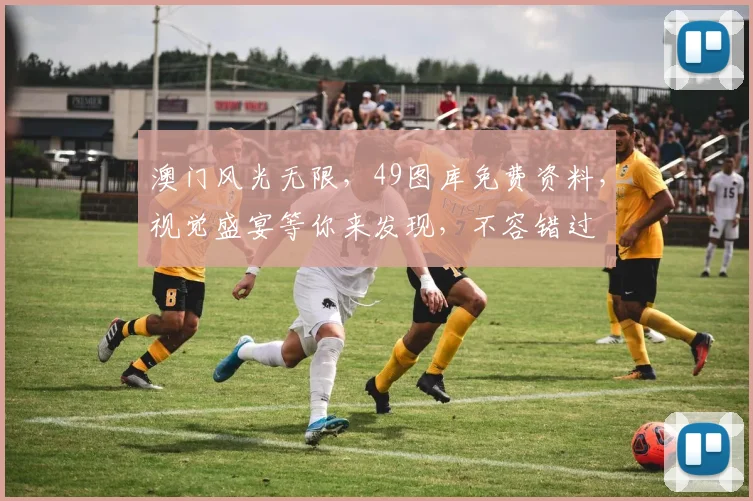 澳门风光无限，49图库免费资料，视觉盛宴等你来发现，不容错过