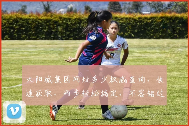 大阳城集团网址多少权威查询，快速获取，两步轻松搞定，不容错过