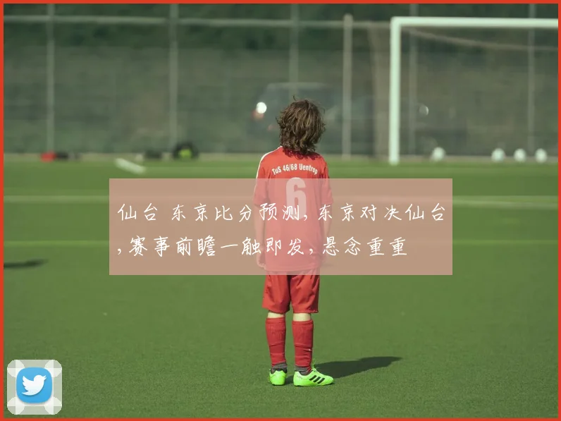仙台 东京比分预测,东京对决仙台,赛事前瞻一触即发,悬念重重